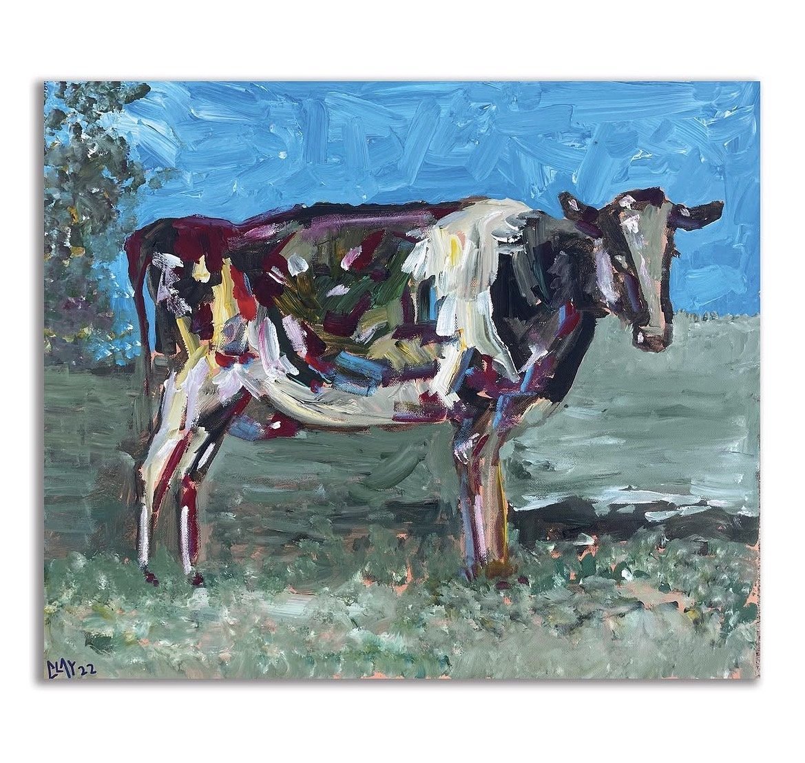 a cow gift