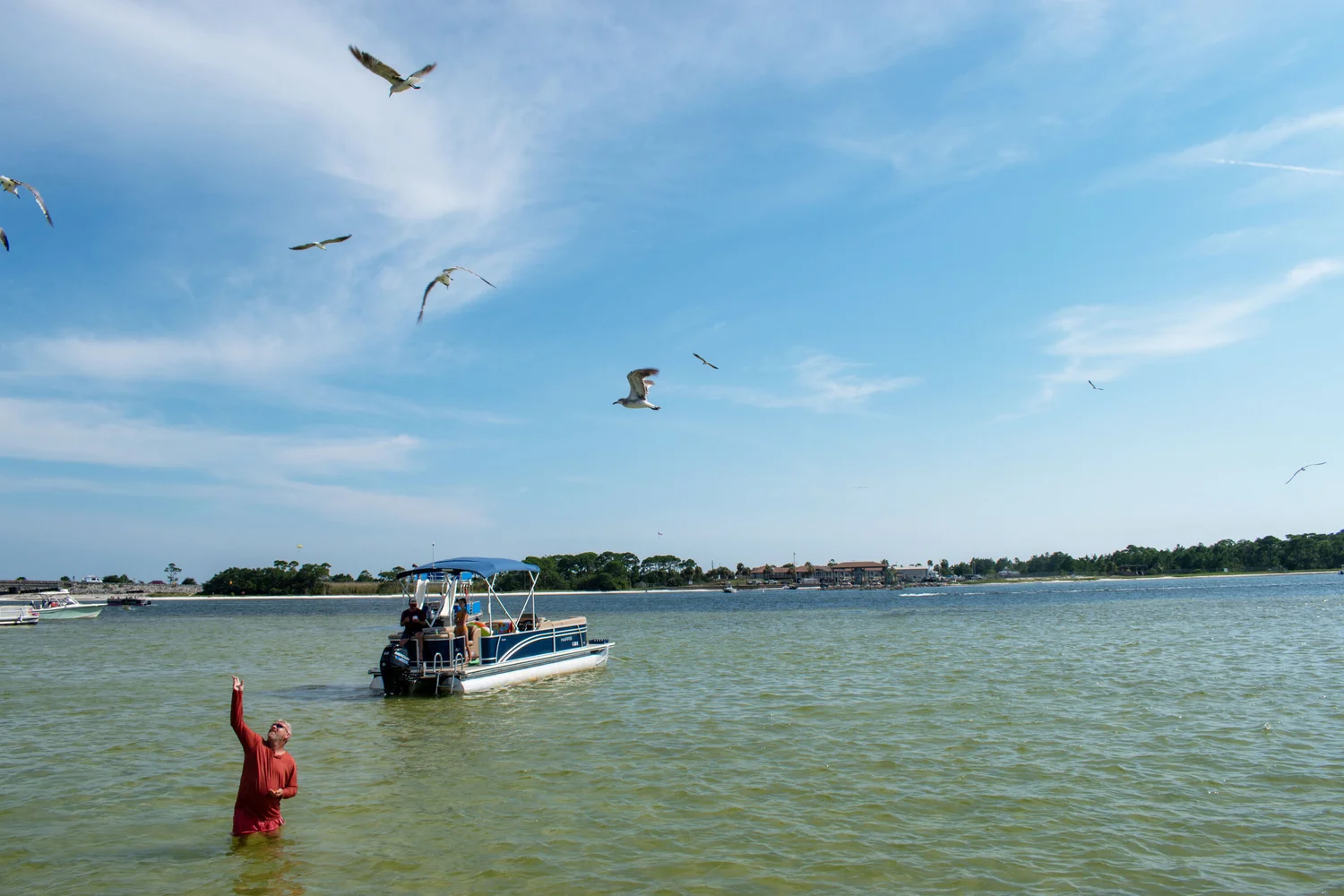 a short summer in florida — photo 4