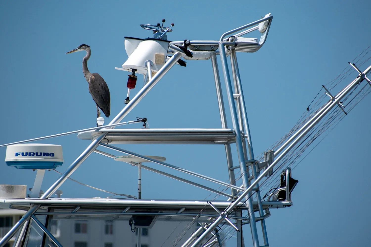 a short summer in florida — photo 7