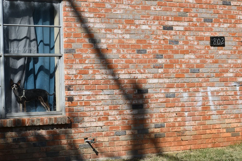 house numbers