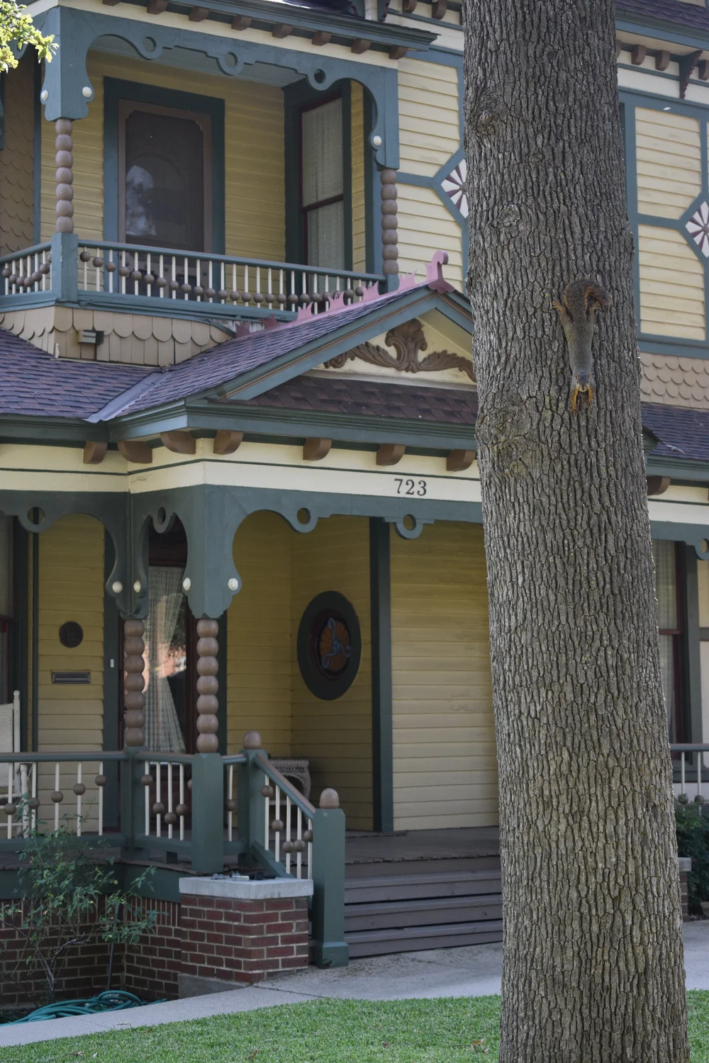 House number in denton, texas — photo 11